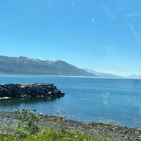 Na Koncu Swiata * Vikran